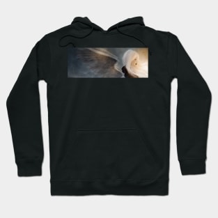 Solace Hoodie